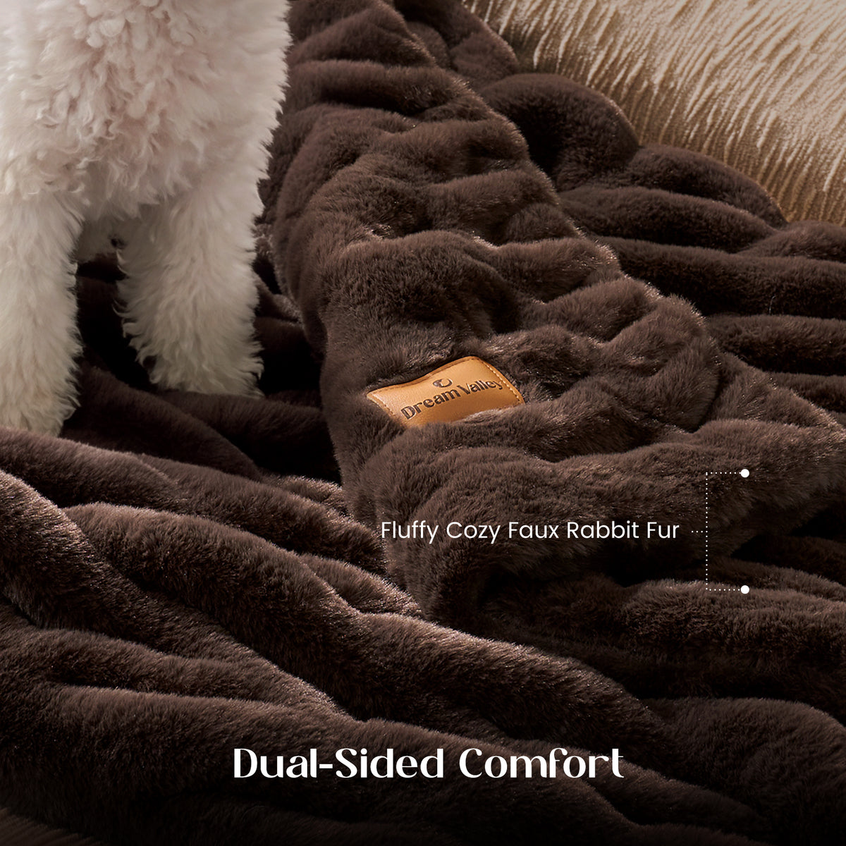#color_Dark Brown