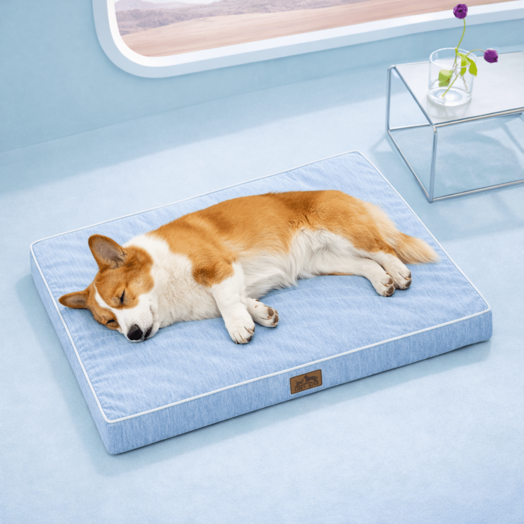 Dog sleeping on a gray cooling pet bed in a light blue room with a window in the background.#color_Cool Blue