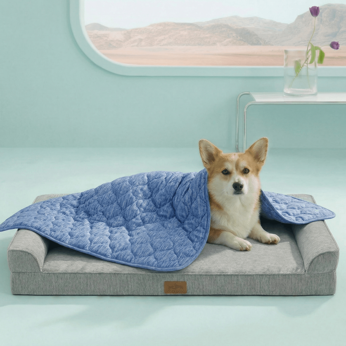 Cozy Bliss pet cooling blanket front view with Dog sitting on it. #color_Blue