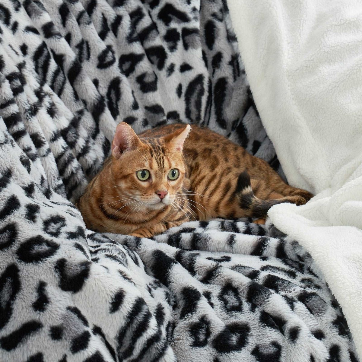 Snow Leopard Faux Fur Throw Blanket | Cozy Bliss