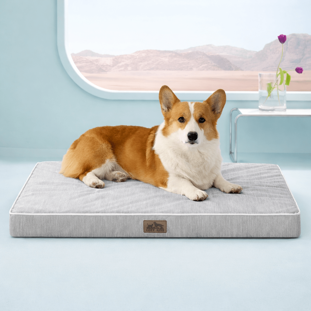 Front view of dog lying on a gray pet bed#color_Light Grey