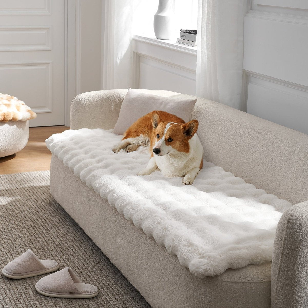 Dog lying on a cream white couch cover on a white couch in a bright room.#color_Cream White