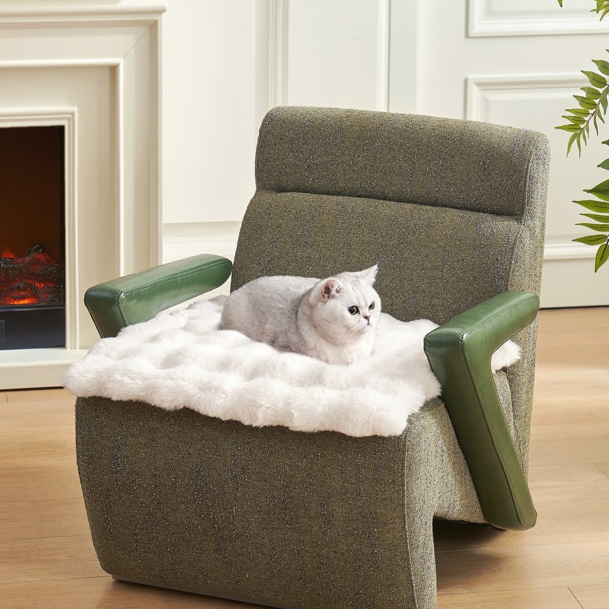 Cat sitting on a fluffy couch cover on a brown armchair in a cozy living room.#color_Cream White