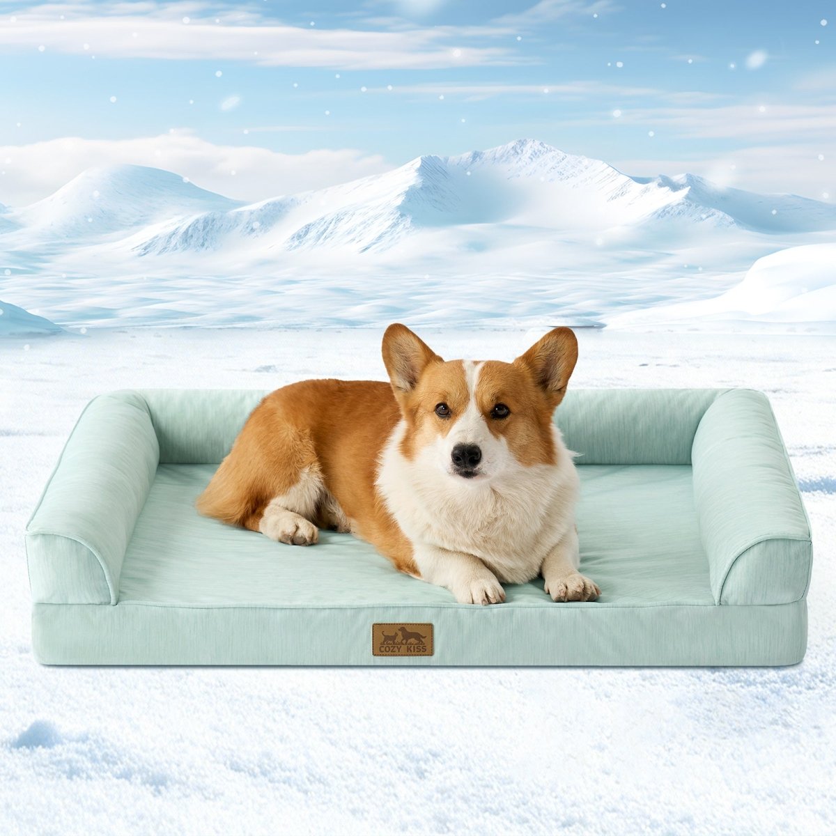 Dog lying on a light mint green pet bed with a snowy mountain background#color_Light Mint Green