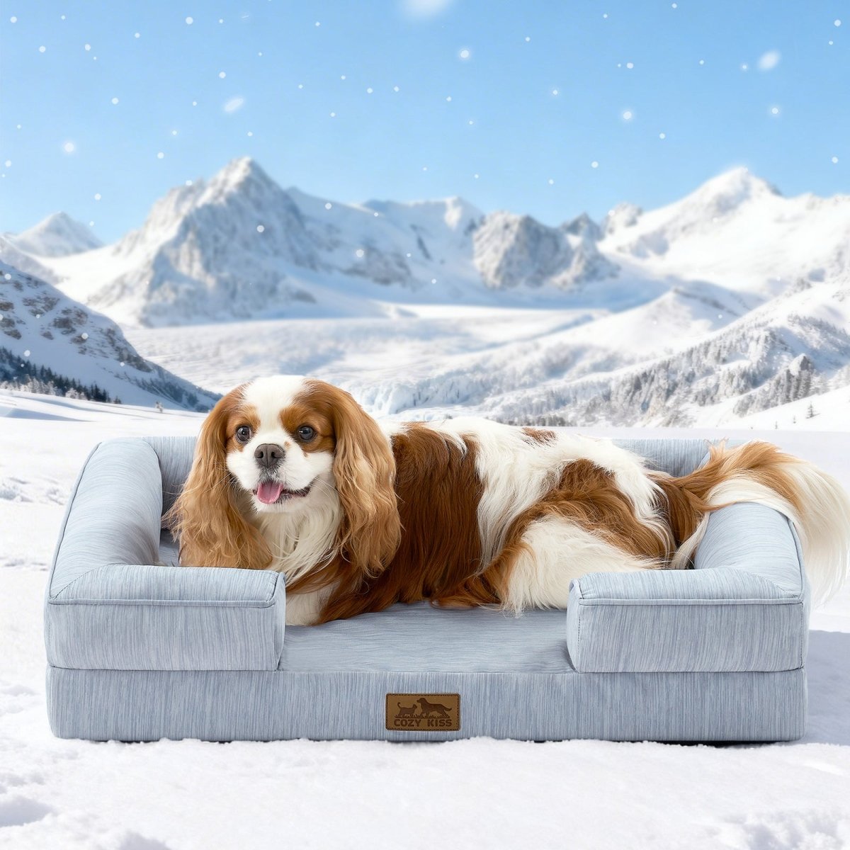 Dog lying on a cool blue dog bed in a snowy landscape with mountains.#color_Cool Blue