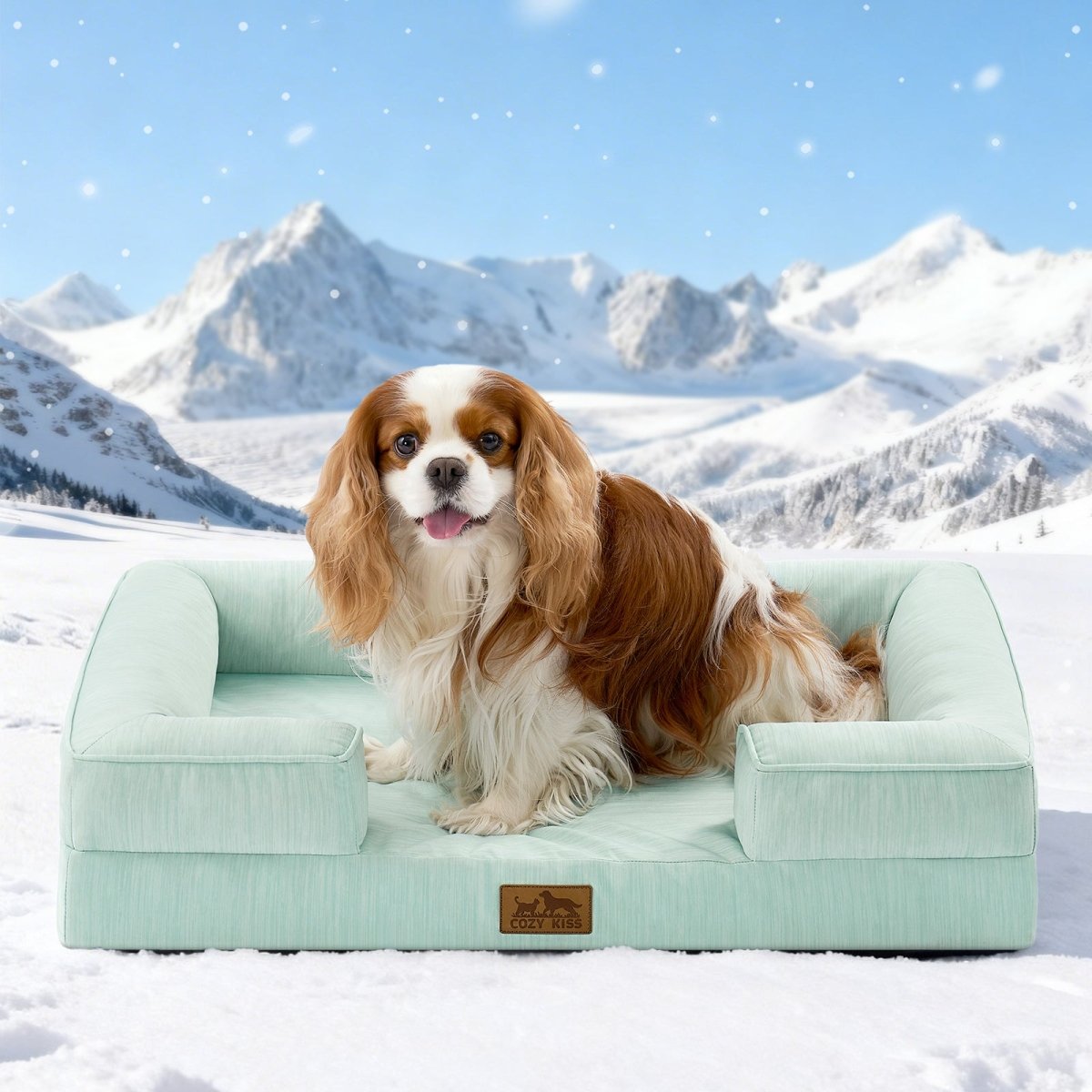 Dog lying on a green pet bed in a snowy mountain landscape#color_Light Mint Green