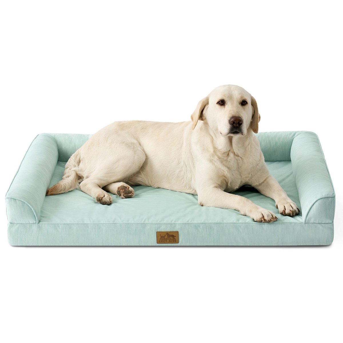 Dog lying on a green pet bed with a white background#color_Light Mint Green