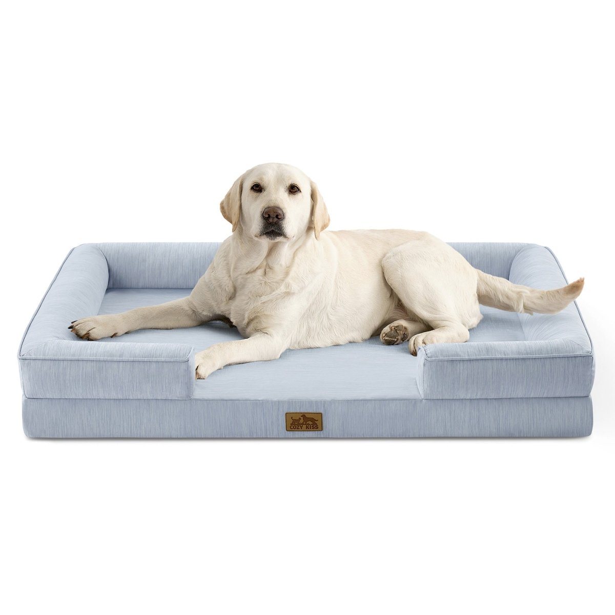 Dog lying on a blue pet bed with a white background#color_Cool Blue