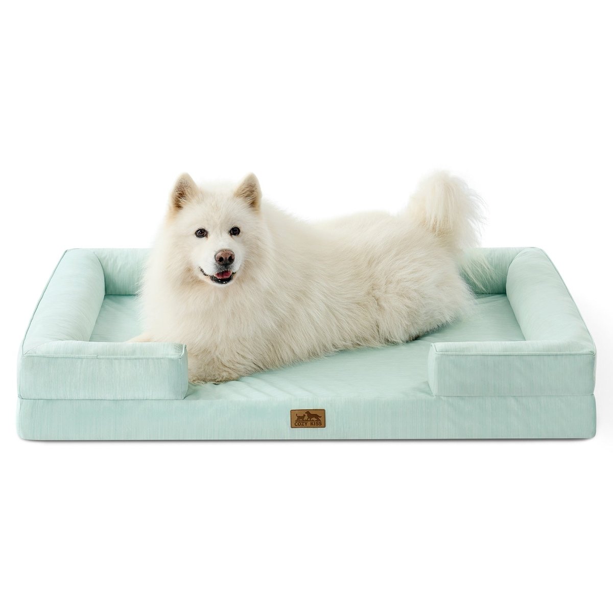 White dog lying on green pet bed#color_Light Mint Green