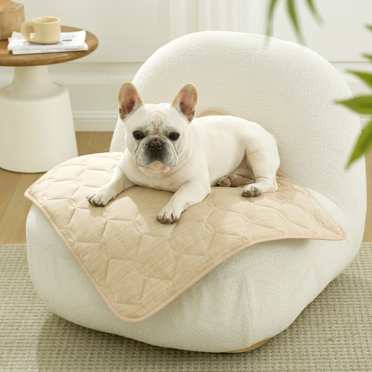 Dog lying on a cooling mat on a white sofa in a cozy room.#Color_Beige