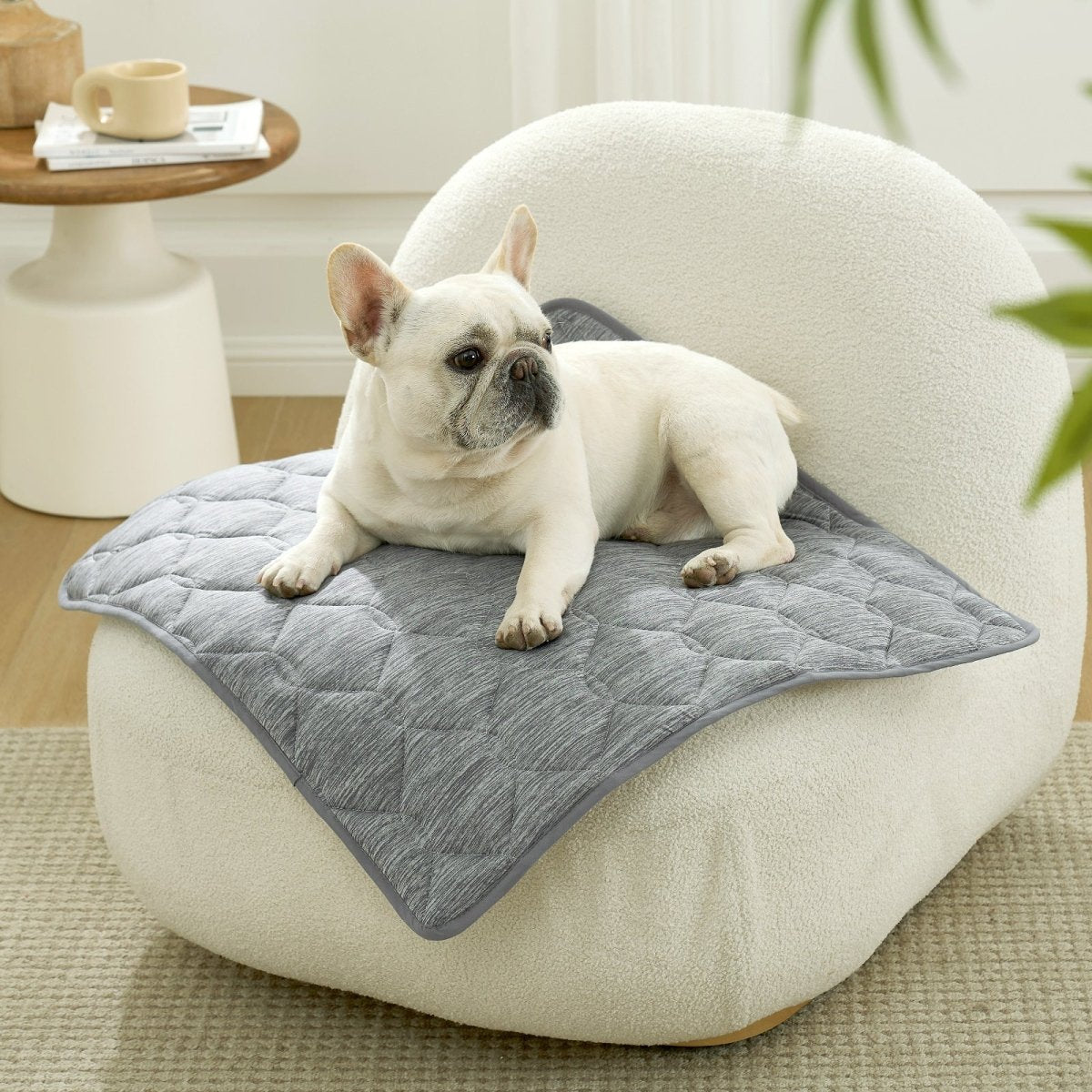 Dog lying on a gray cooling pet mat on a white chair in a cozy room.#Color_Dark Grey