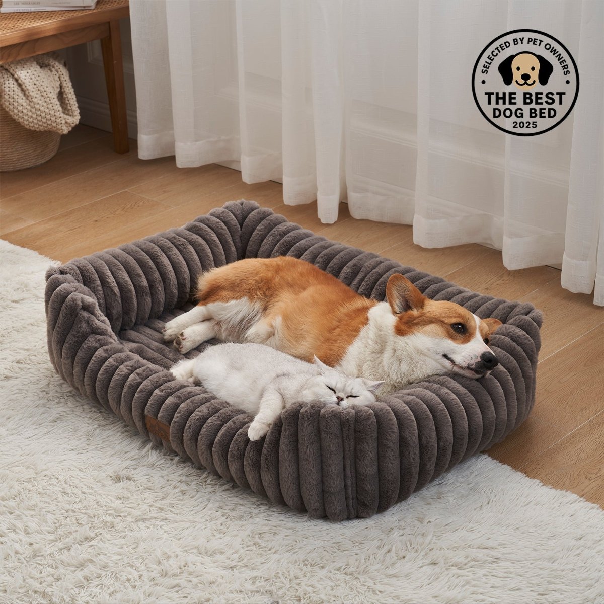Dog and cat lying on a plush grey pet bed。#color_Grey