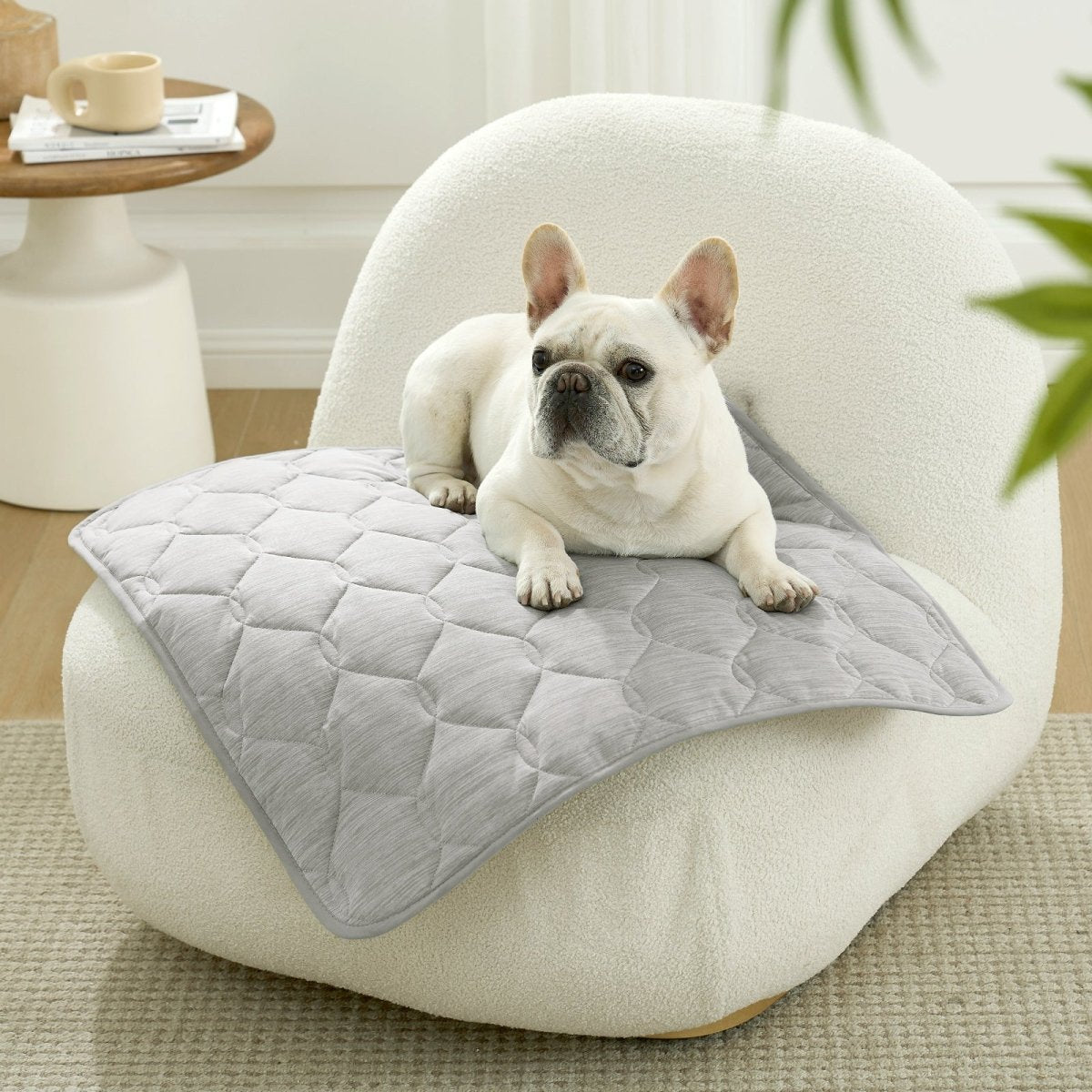 Dog lying on a gray cooling pet mat on a white chair in a cozy room.#Color_Grey