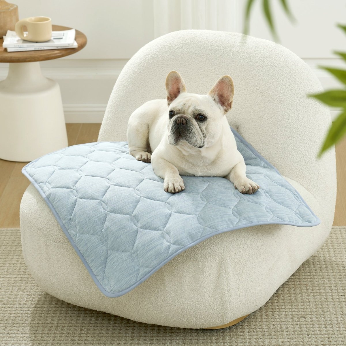 Dog lying on a cooling pet mat on sofa.#Color_Cool Blue