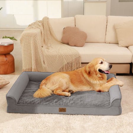 Dog lying on a gray pet bed in a cozy living room.#Color_Grey