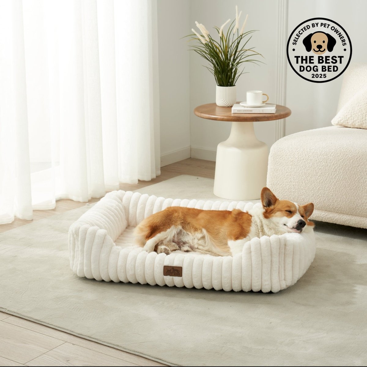 Dog lying on a white ribbed dog bed in a modern living room with a 'Best Dog Bed' award badge.#color_Cream White