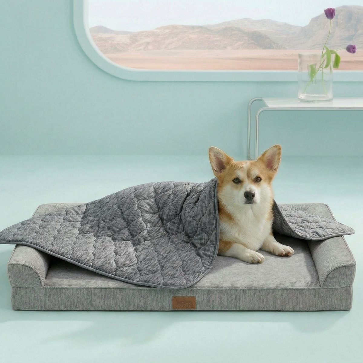Cozy Bliss pet cooling blanket front view with Dog sitting on it. #color_Dark Grey