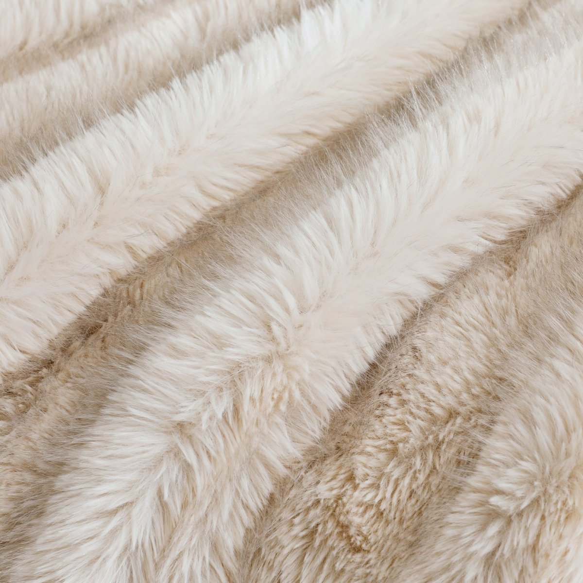 #color_Cream White