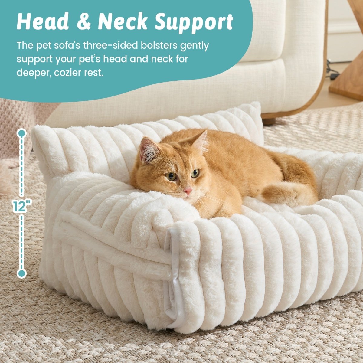 Cat resting on a pet sofa, graphic text displays support level and pet bed height dimensions.#color_Cream White