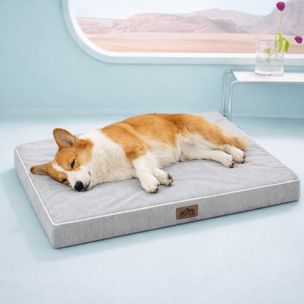 Dog sleeping on a gray cooling pet bed in a light blue room with a window in the background.#color_Light Grey