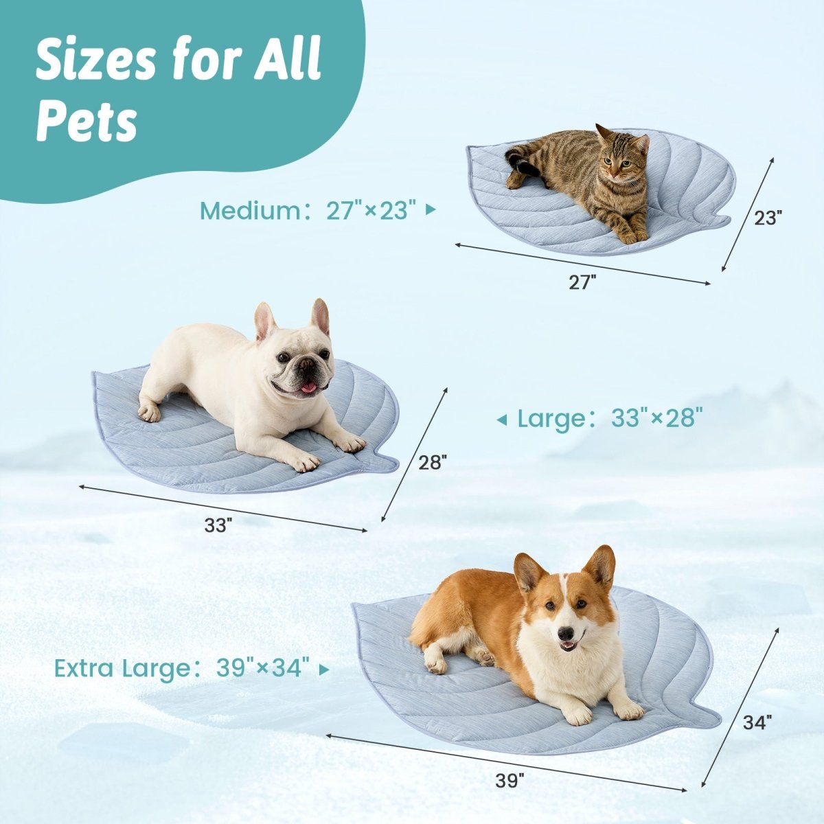 Pet beds of different sizes with measurements for dogs and a cat. #color_Cool Blue
