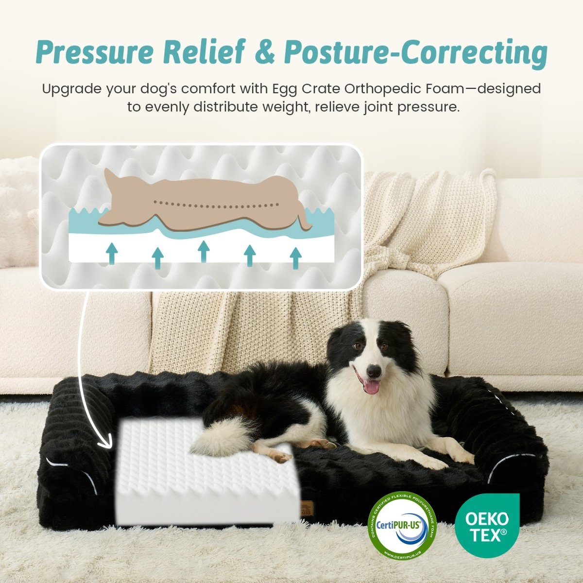 Dog lying on a pressure relief and posture-correcting egg crate orthopedic foam pad with CertiPUR-US and OEKO-TEX certification.#Color_Black