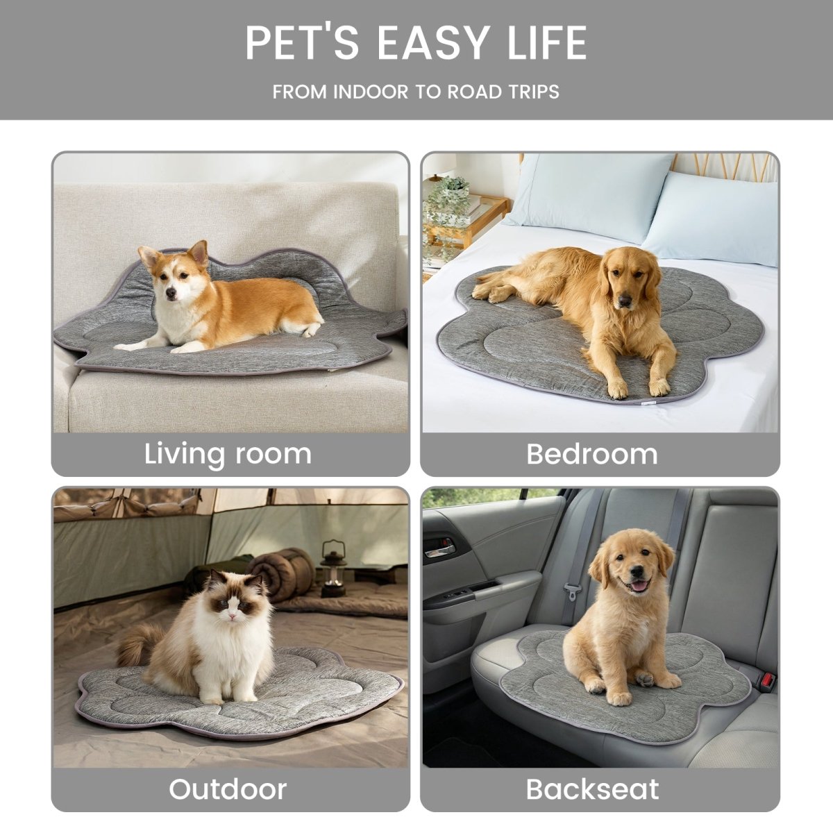 Dog using a pet mat in various settings including living room, bedroom, outdoor, and car.#color_Grey