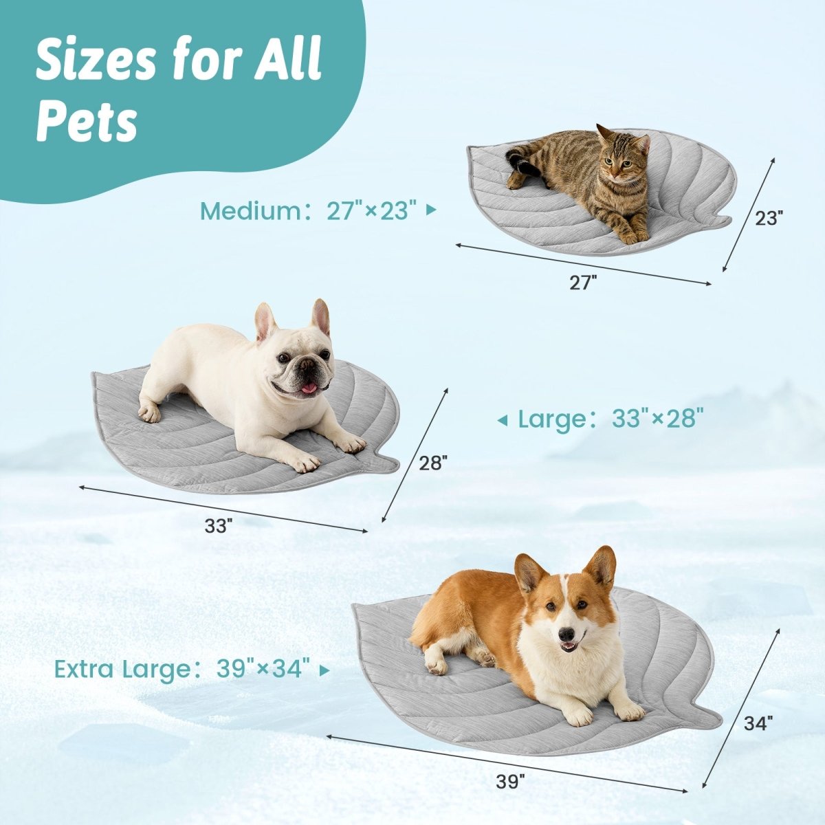 Pet beds of different sizes with measurements on a light blue background #color_Grey