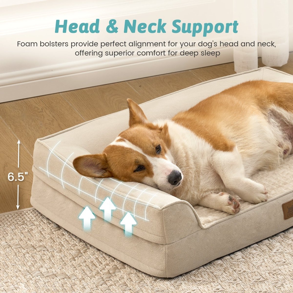 Dog lying on a Beige pet bed in a cozy living room. #Color_Beige