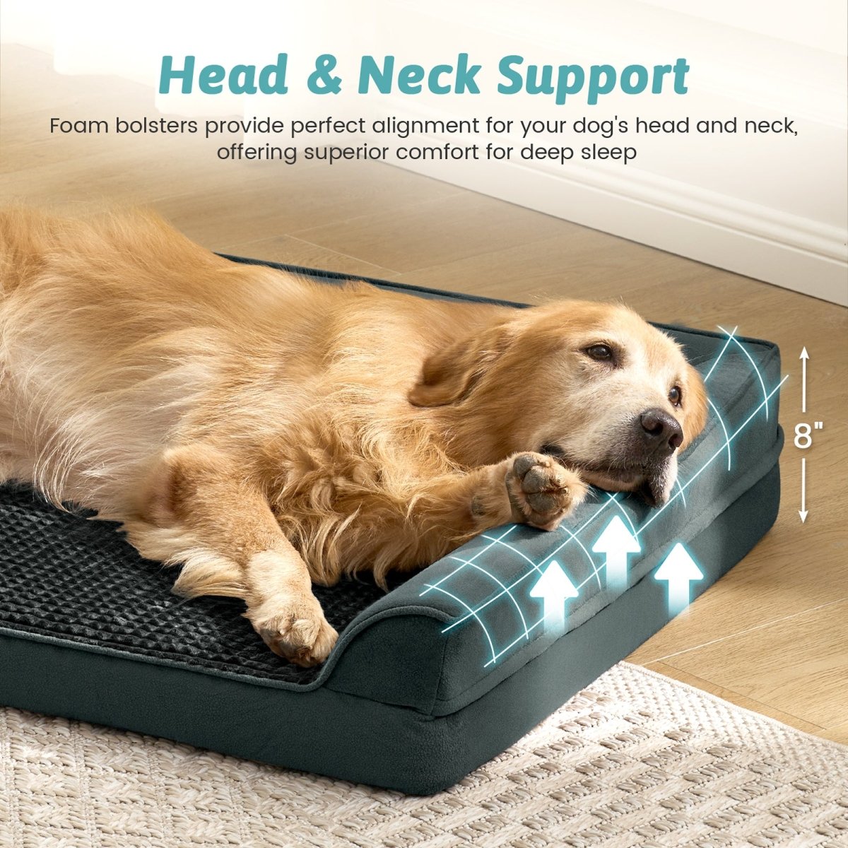 Dog lying on a black pet bed in a cozy living room. #color_Black