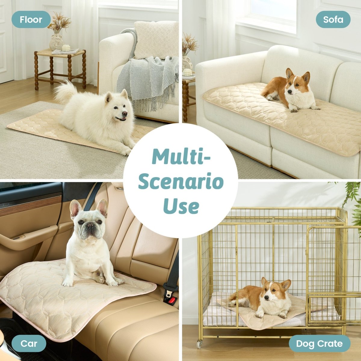 Collage of a dog using a pet mat in various scenarios including floor, sofa, car, and dog crate.#Color_Beige