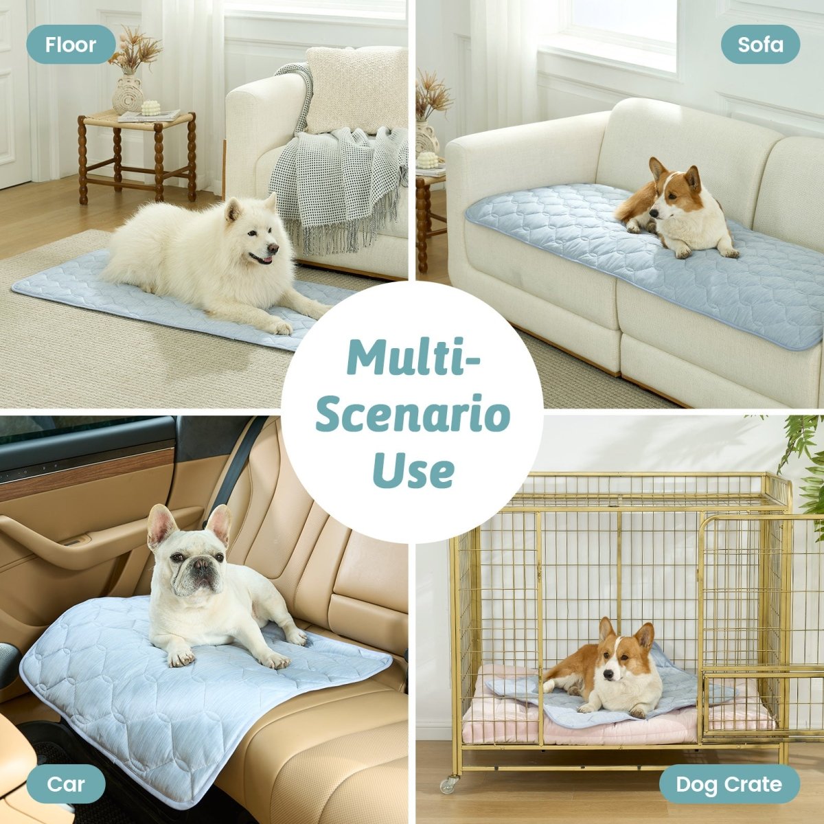 Dog using a pet mat on various surfaces including floor, sofa, car, and dog crate.#Color_Cool Blue