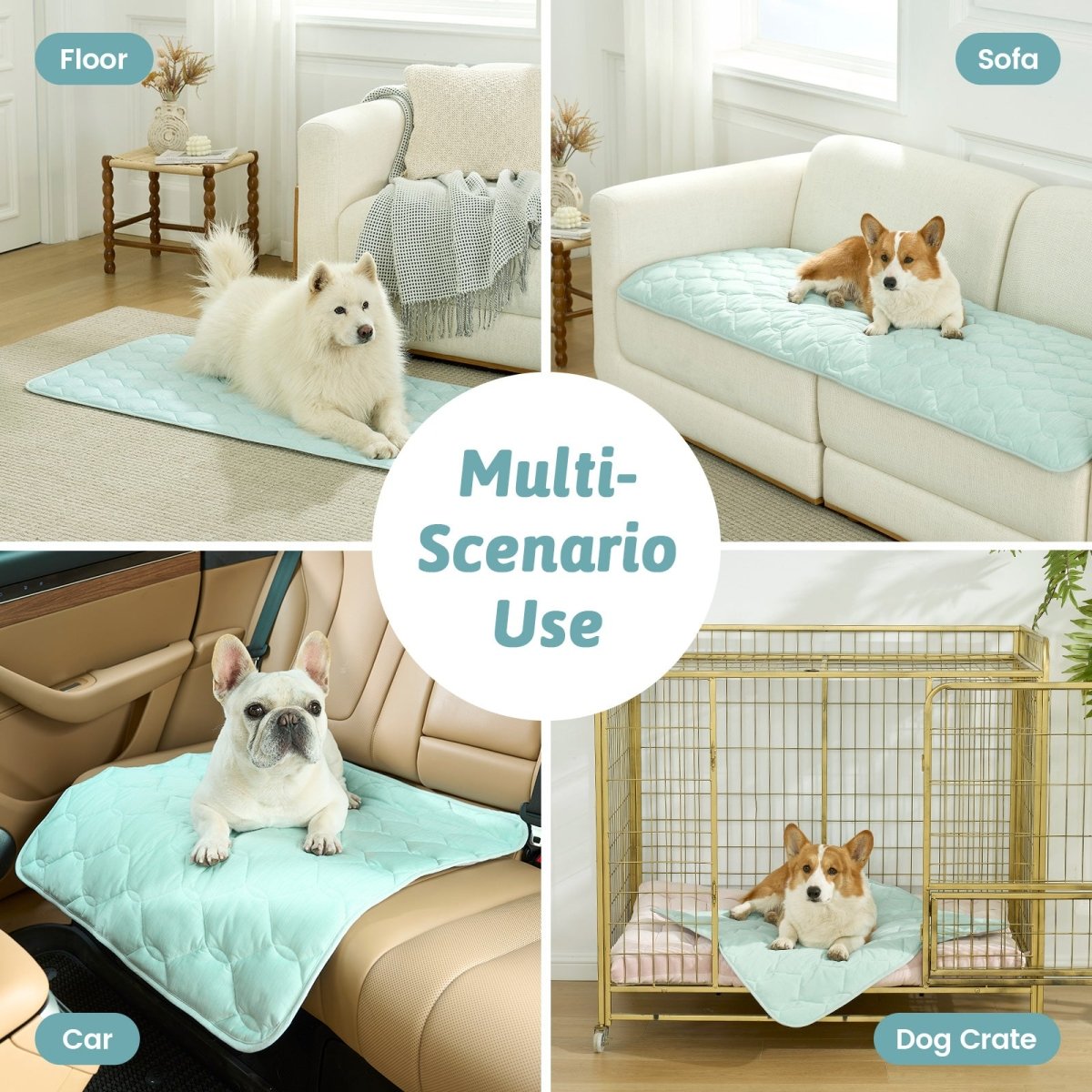 Dog using a pet mat on various surfaces including floor, sofa, car, and dog crate.#Color_Light Mint Green
