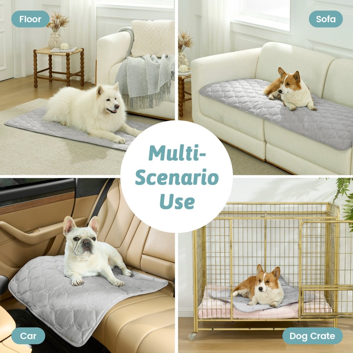 Dog using a pet mat on various surfaces including floor, sofa, car, and dog crate.#Color_Grey