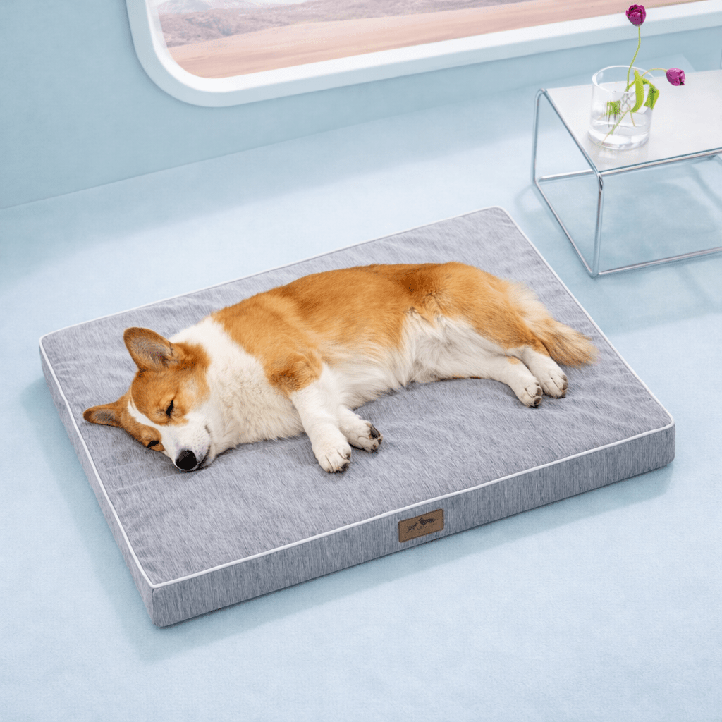 Dog sleeping on a gray cooling pet bed in a light blue room with a window in the background.#color_Grey