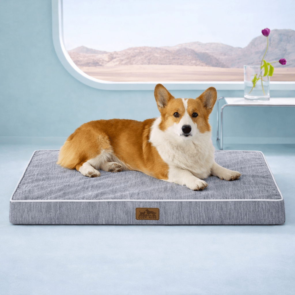 Front view of dog lying on a gray pet bed#color_Grey