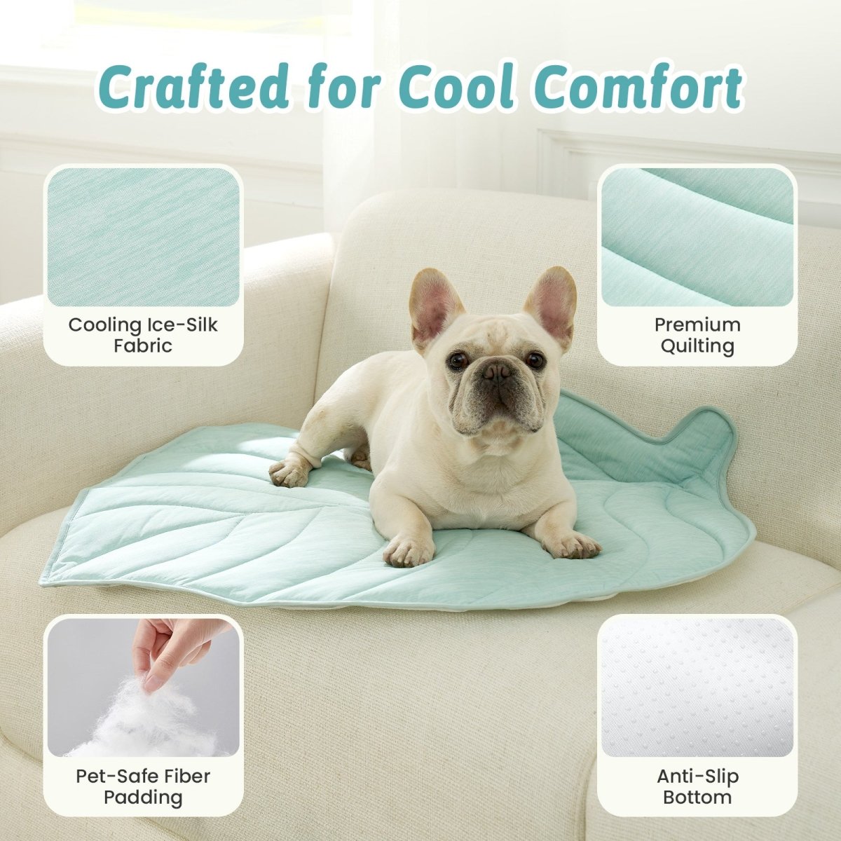 Dog lying on a cooling pad with features highlighted on a white background #color_Light Mint Green