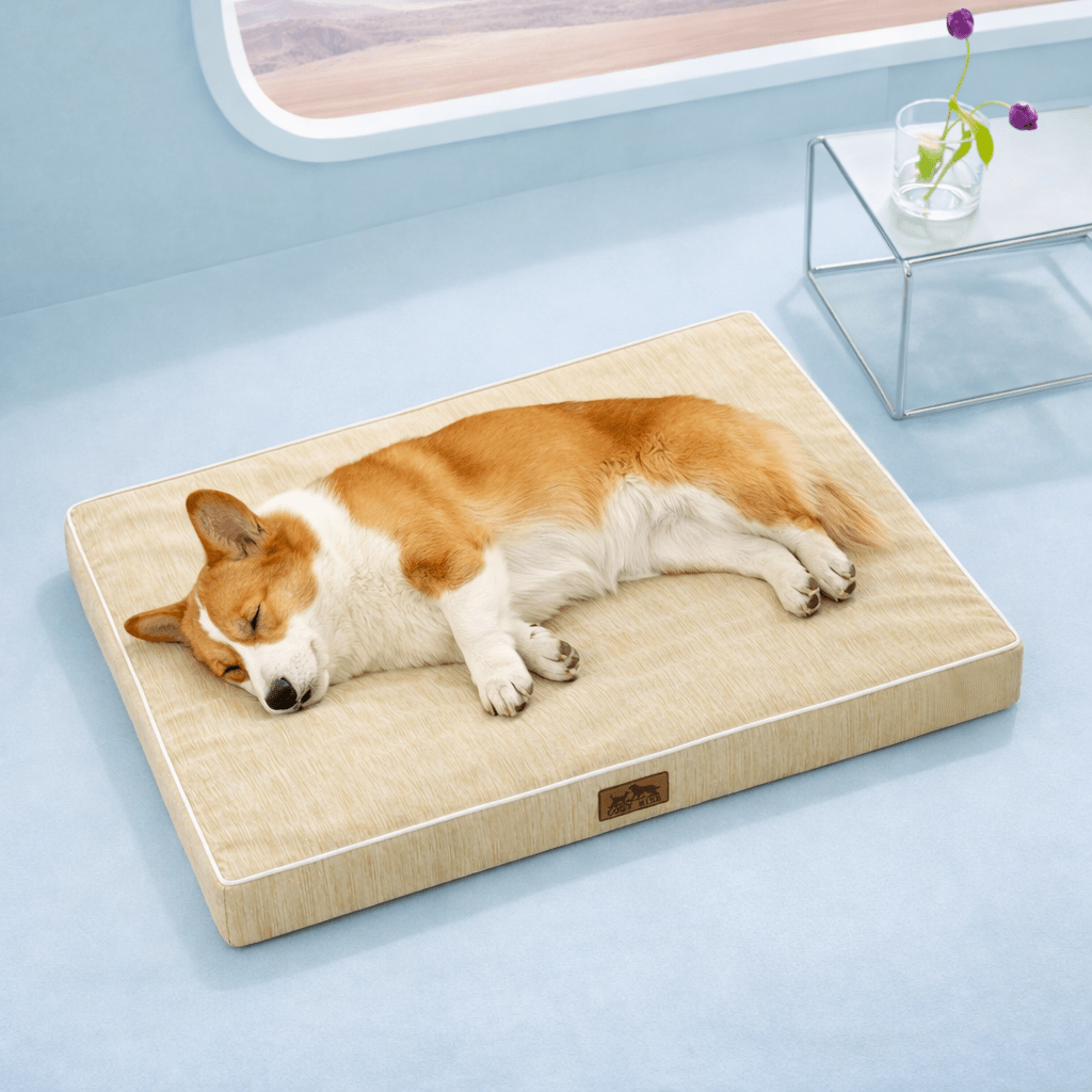 Dog sleeping on a gray cooling pet bed in a light blue room with a window in the background.#color_Beige