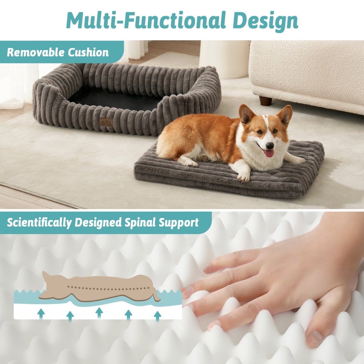 Dog lying on a cushioned pet bed with text highlighting its removable cushion and scientific spinal support.#color_Grey