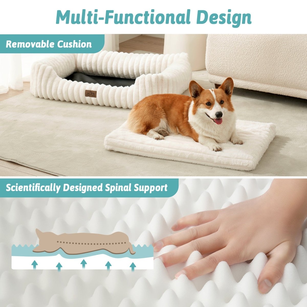 Dog lying on a cushioned pet bed with text highlighting its removable cushion and scientific spinal support.#color_Cream White