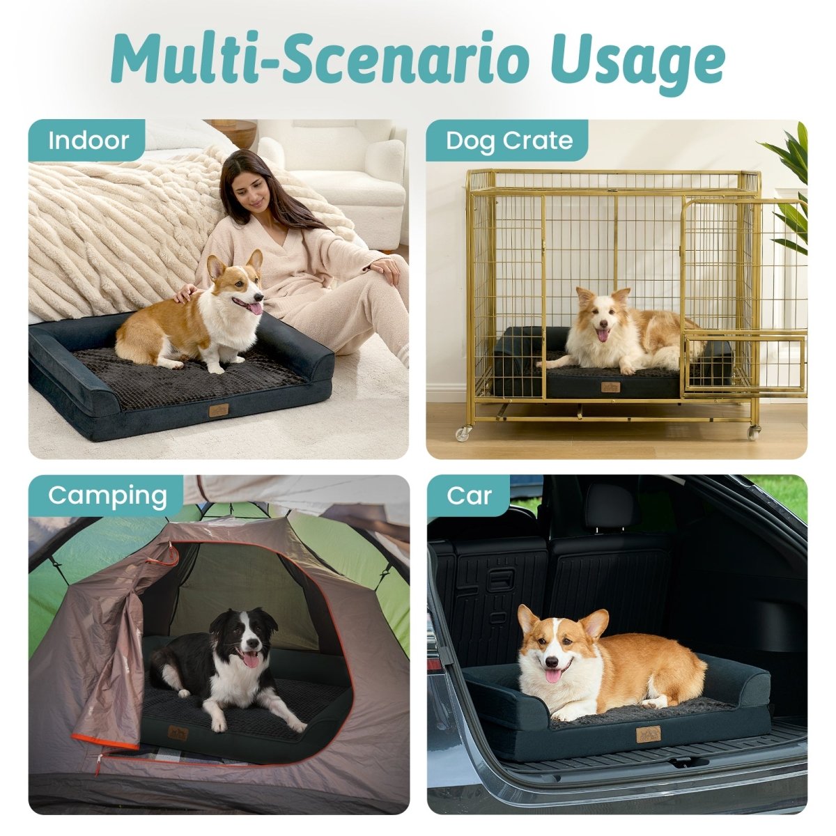Dog bed used in various scenarios including indoor, car, camping, and courtyard. #color_Black