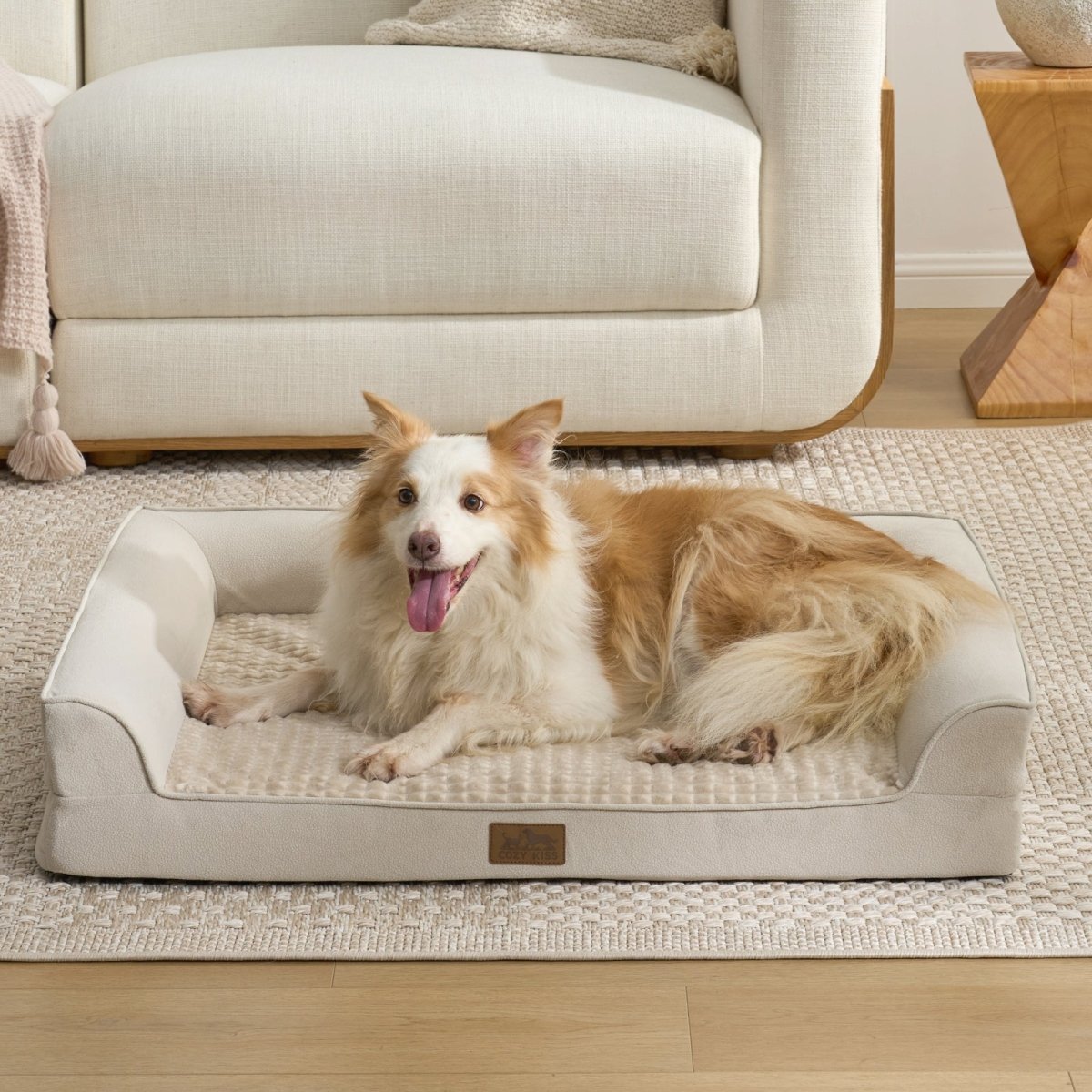 Cozy bliss pet bed front view. Dog lying on a Beige pet bed in a living room. #Color_Beige