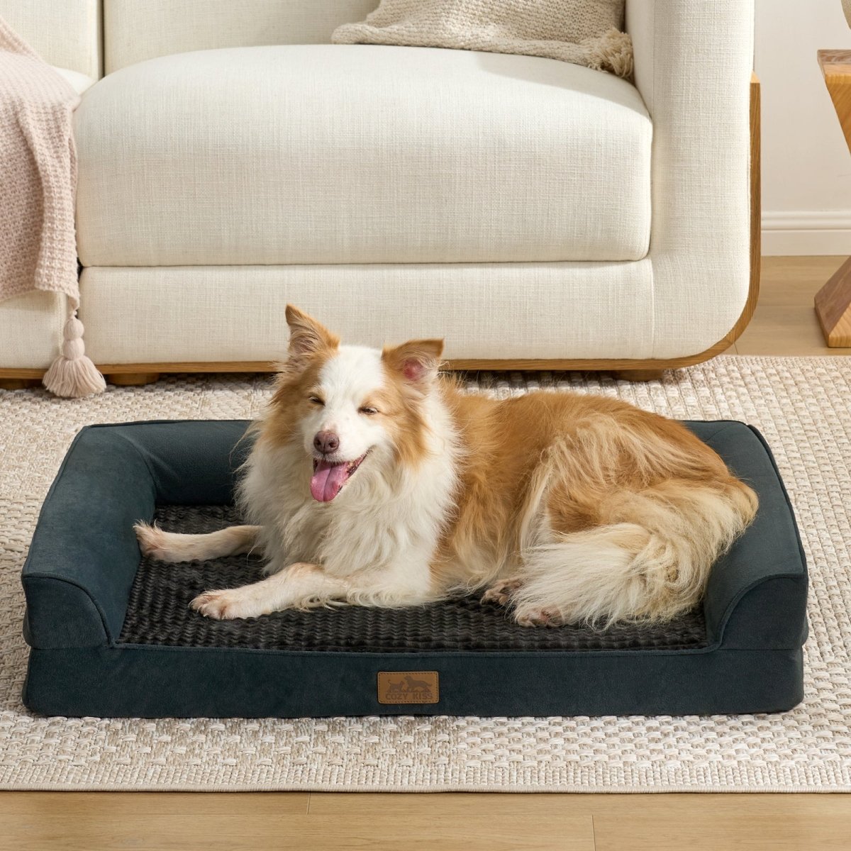 Cozy bliss pet bed front view. Dog lying on a Black pet bed in a living room. #color_Black