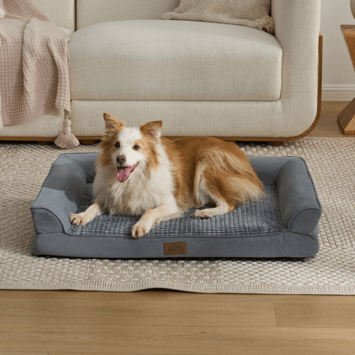 Cozy bliss pet bed front view. Dog lying on a grey pet bed in a living room. #Color_Grey 