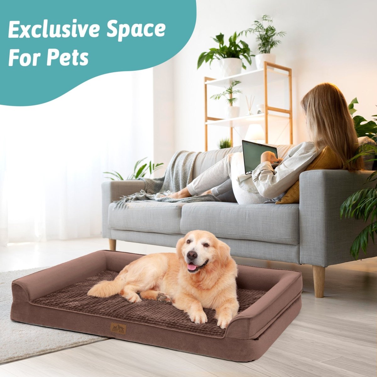 Dog lying on a large brown pet bed in a living room with a woman sitting on a couch.#Color_Brown