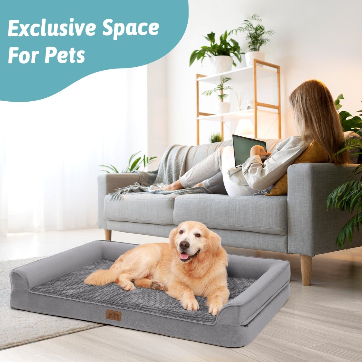 Dog lying on a gray pet bed in a living room with a woman sitting on a couch.#Color_Grey