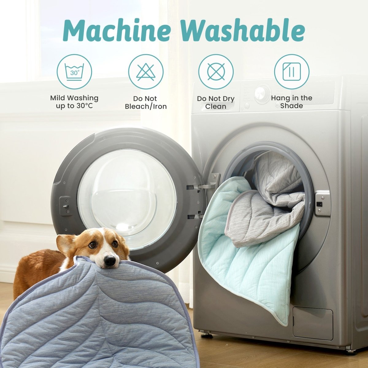 Dog holding a machine washable pet bed with washing machine in the background #color_Cool Blue
