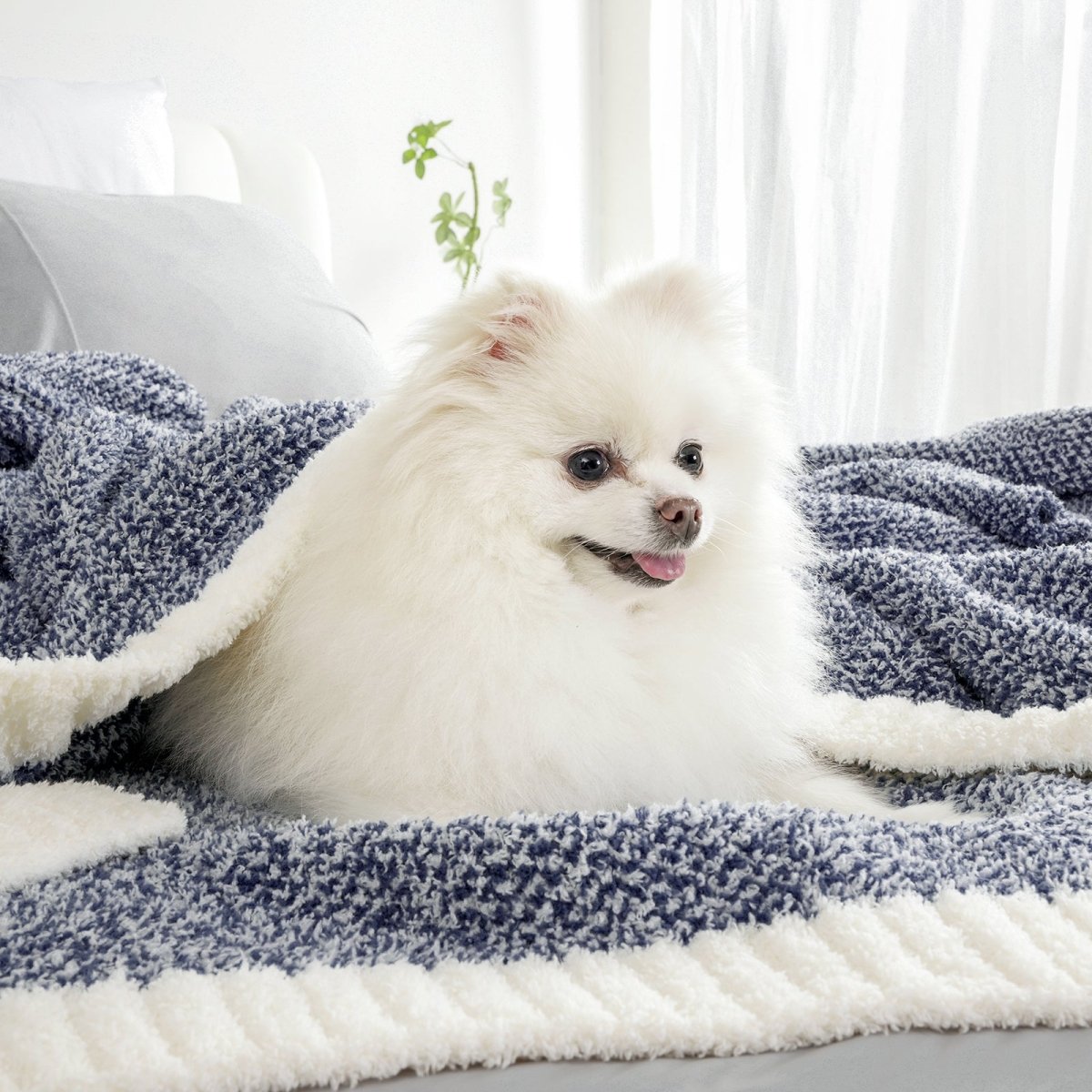 Small dog sitting on a Heather Feather Yarn Throw Blanket in Navy Blue, highlighting its soft texture. #color_Navy Blue