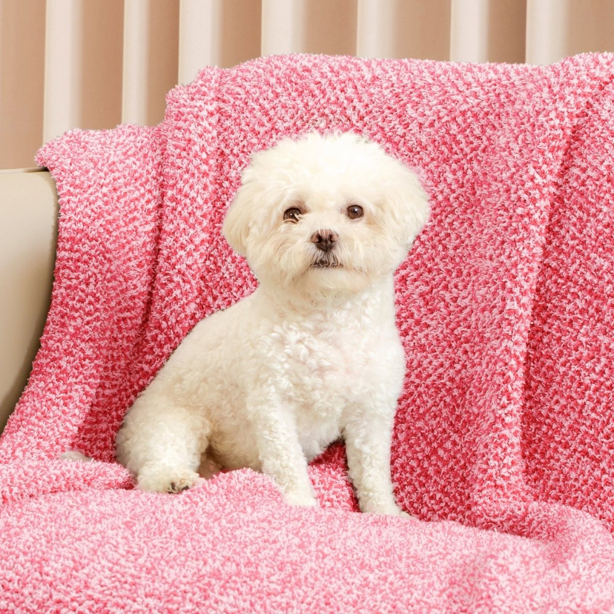 Small dog sitting on a Heather Feather Yarn Throw Blanket in Hot Pink, highlighting comfort. #color_Hot Pink