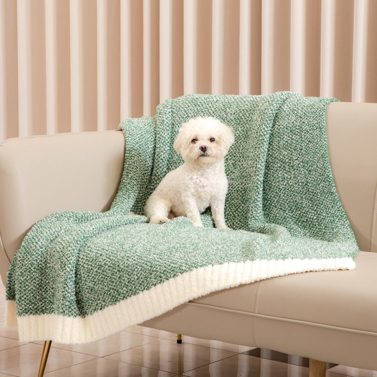 Small dog sitting on a Heather Feather Yarn Throw Blanket in Heather Green, highlighting its soft and pet-friendly comfort. #color_Heather Green